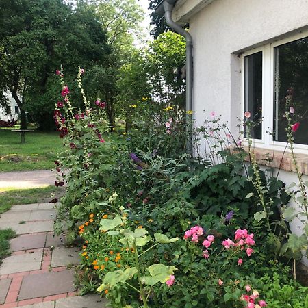 Cabana In Zweedorf An Der Ostsee Lägenhet Rum bild